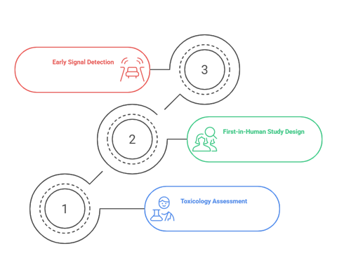 PV process across drug lifecycle